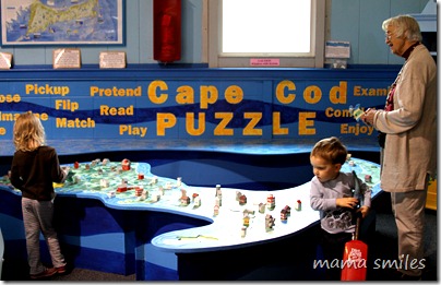 Playing with the Cape Cod puzzle