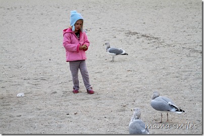 Emma teaches the seagulls some manners
