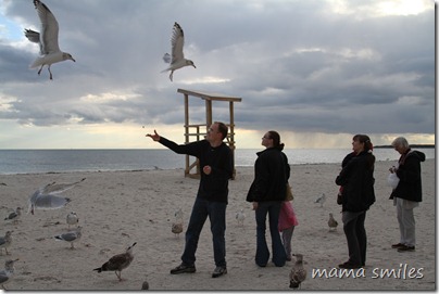 Mike throws bread for the seagulls