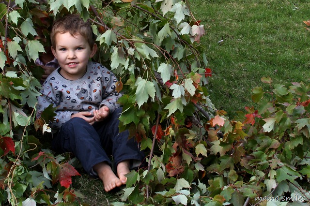 Playing in a lean-to built from pruned tree branches