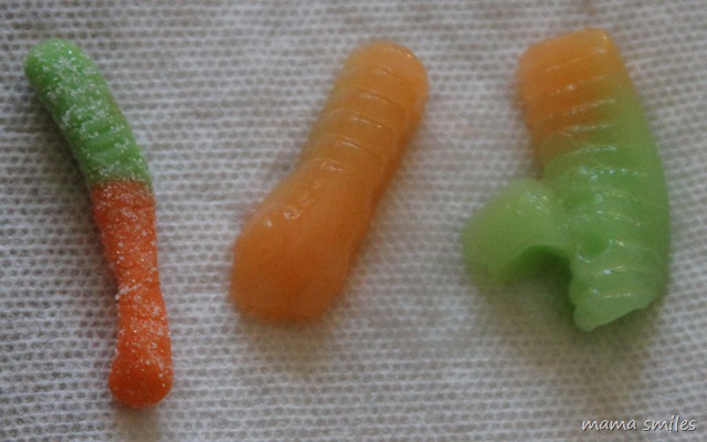 comparison of a regular gummy worm with one soaked in water for several hours
