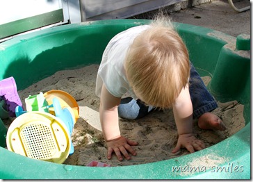 Lily in the sandbox