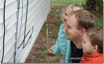 admiring the Walking Stick