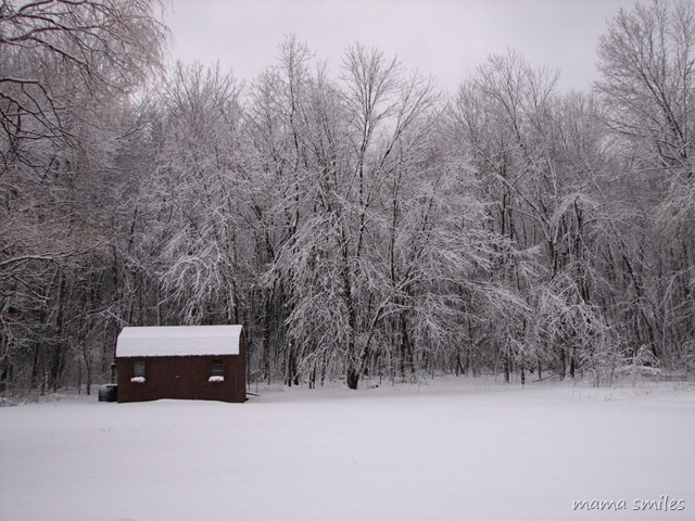winter