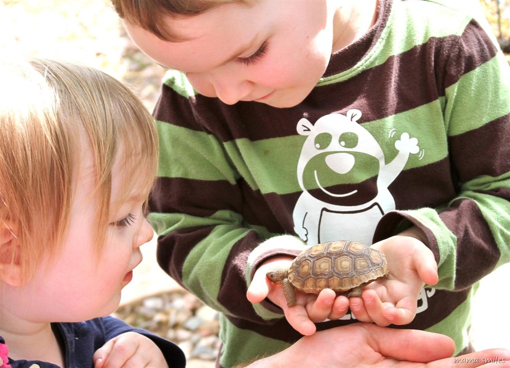 Johnny carefully holds a baby tortoise