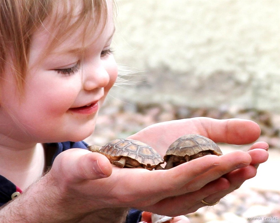 Lily admires a baby tortoise