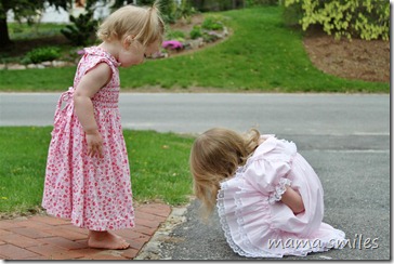 admiring ants