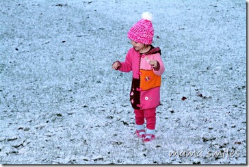 Lily enjoys our first snowfall Thursday morning