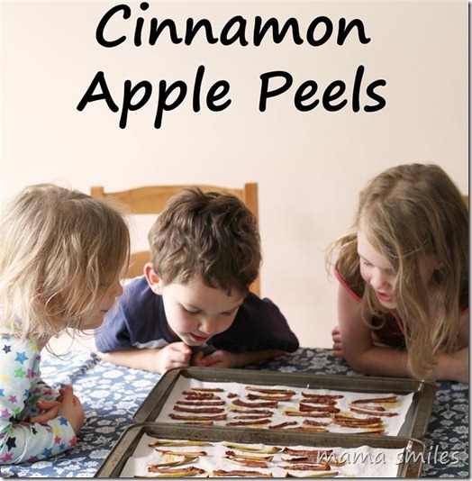 how to make cinnamon apple peels