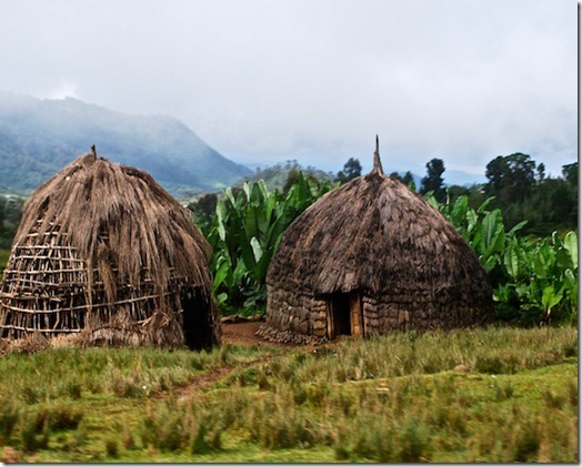 71012Ethiopian_Houses_in_the_Country