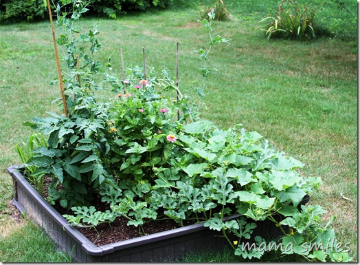 Another raised garden bed