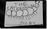 Book cover: The Caterpillar Story
