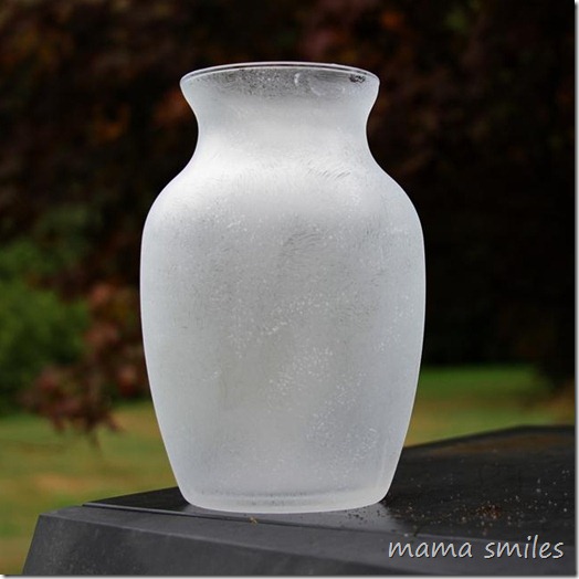 vase frosted with Martha Stewart Glass Paints