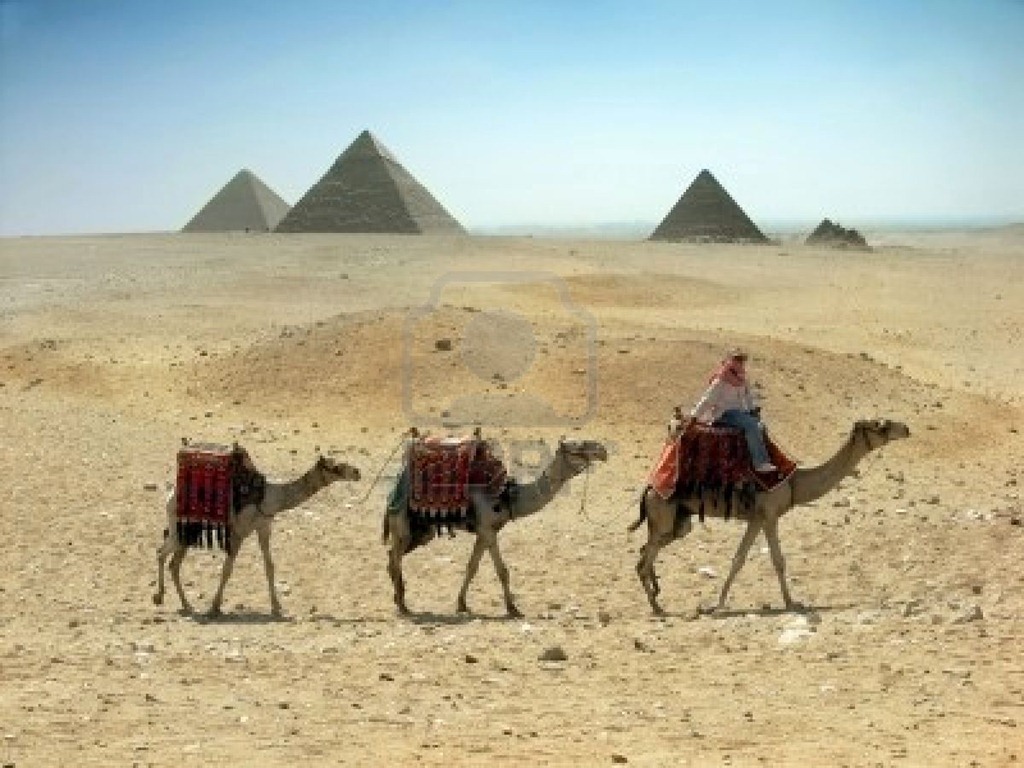 IMG2-camel-caravan-near-pyramid-in-the-egypt--cairo--giza