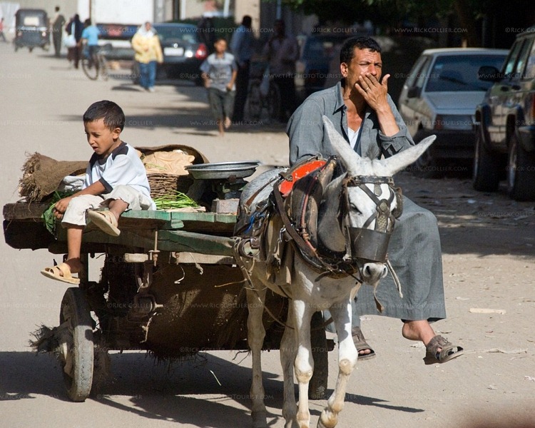 IMG5-donkey-cart-on-Cairo-Street