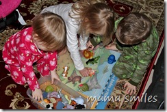 Lily, Johnny, and Emma place animals where they think they go on the map