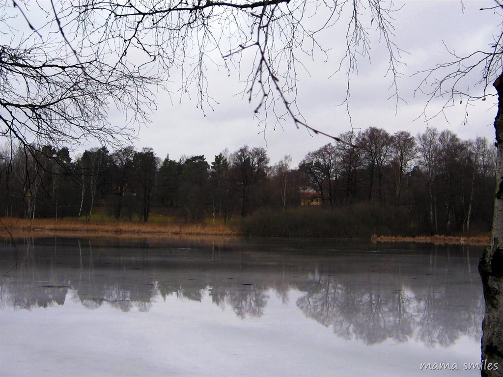 winter in Sweden