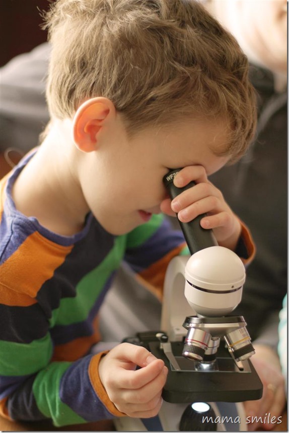 using microscopes with young children. From mamasmiles.com