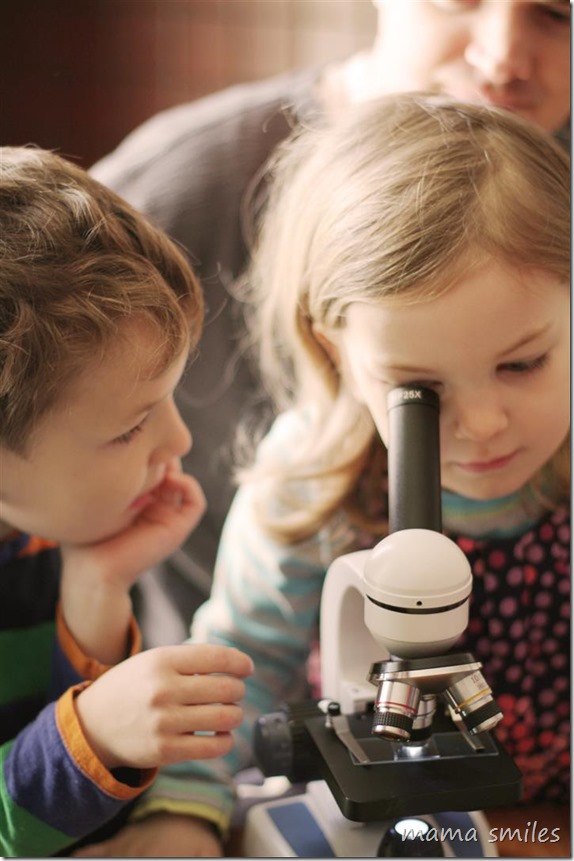 introducing young children to microscopes is a great way to get kids thinking about science! From mamasmiles.com