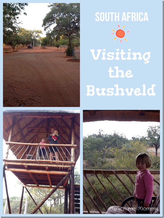 World culture for kids: visiting Bushveld, South Africa