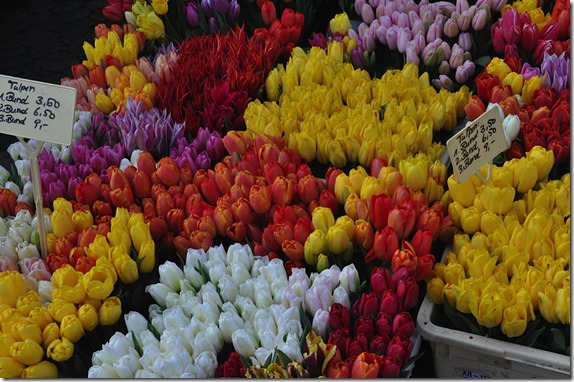 flower market in Freiburg, Germany