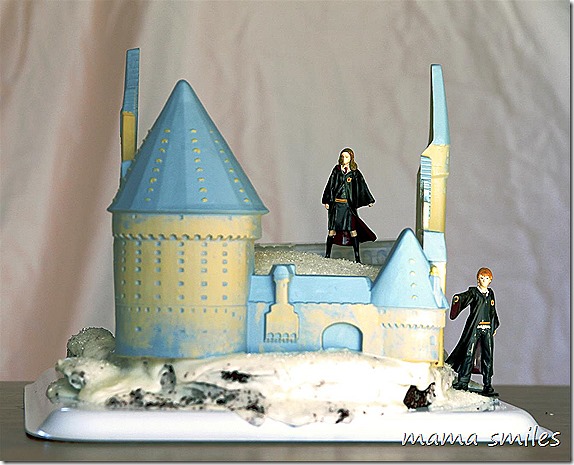 Harry Potter Birthday party from mamasmiles.com