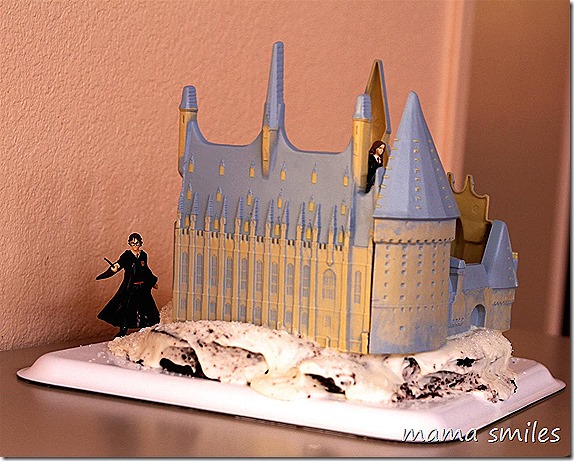 Easy Harry Potter Birthday cake at mamasmiles.com