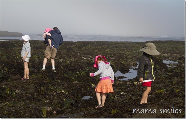 Exploring tide pools is a wonderful educational family activity!