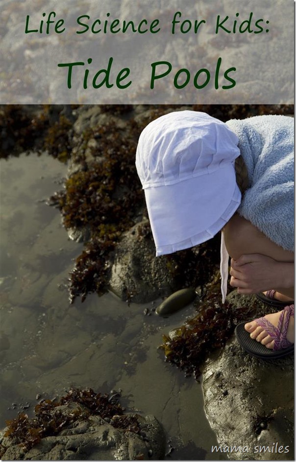 Exploring tide pools is a wonderful life science lesson for all ages! Take photos and research your finds when you get home!