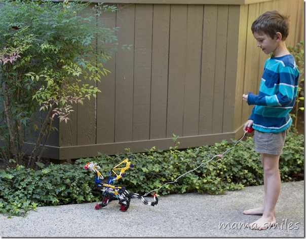 Build a dragon that really moves with K'NEX!