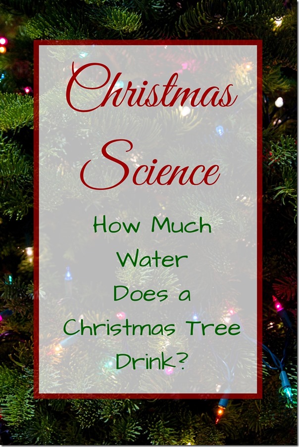 Christmas Science: How Much Water Does a Christmas Tree Drink?