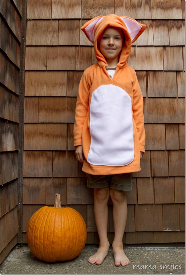 Fleece Fox DIY costume for kid