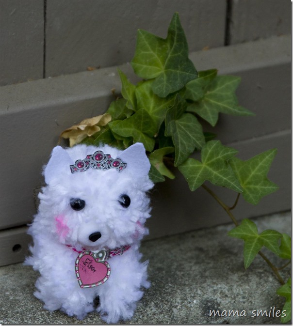 pom pom puppy