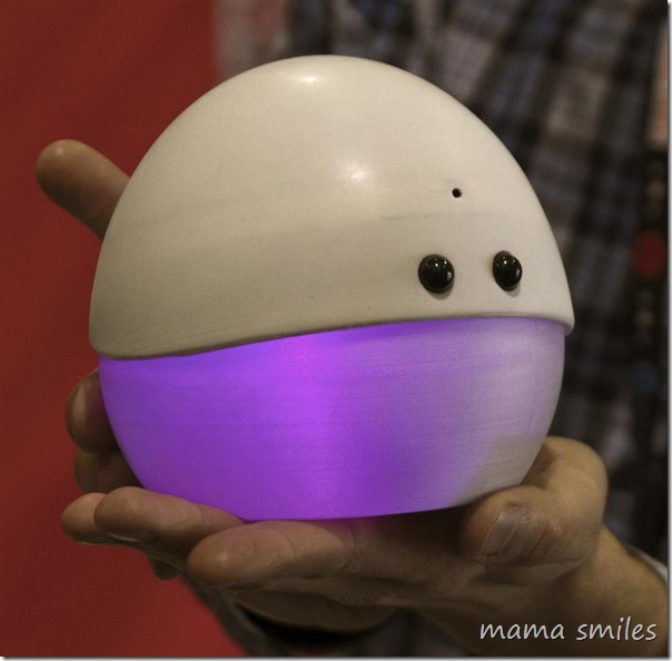 Mira, a curious social robot and other highlights of Maker Faire 2015