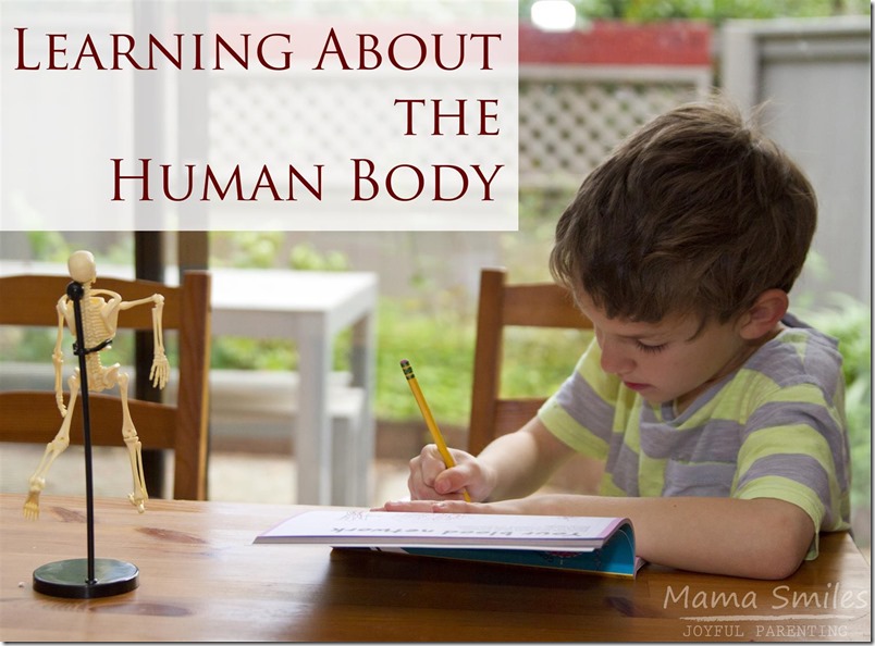Books and resources for teaching kids about the human body.
