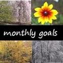 monthly goals linky at mama smiles