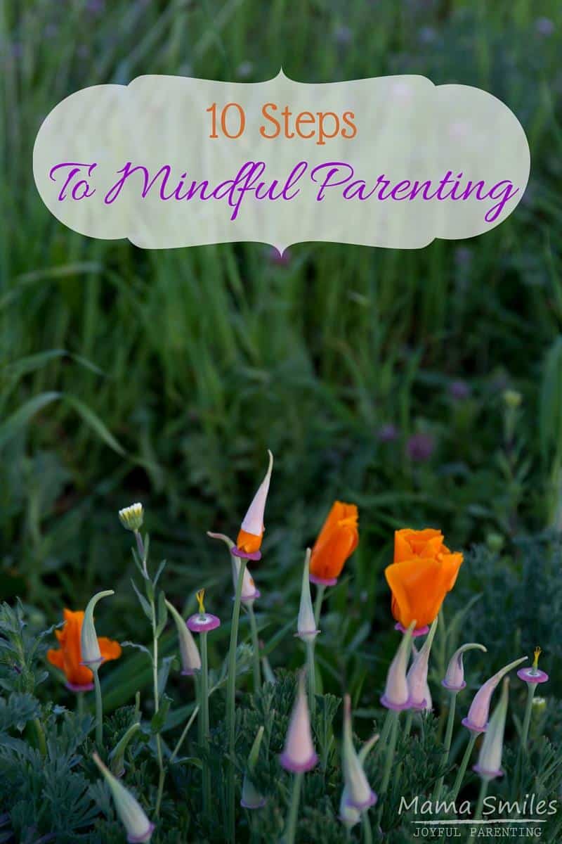 My life was transformed when I took these 10 steps to mindful parenting. Kids are a lot of work. Thanks to this approach, I love parenting and the work is more than worth the effort!