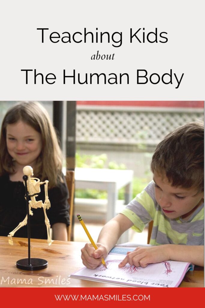 resources to teach kids about the human body