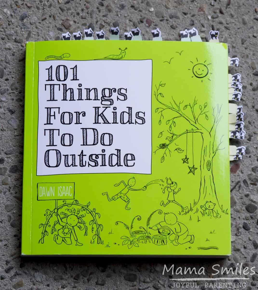 Looking for fun ways to get your kids learning, creating, and having fun outside? This is the book for you!