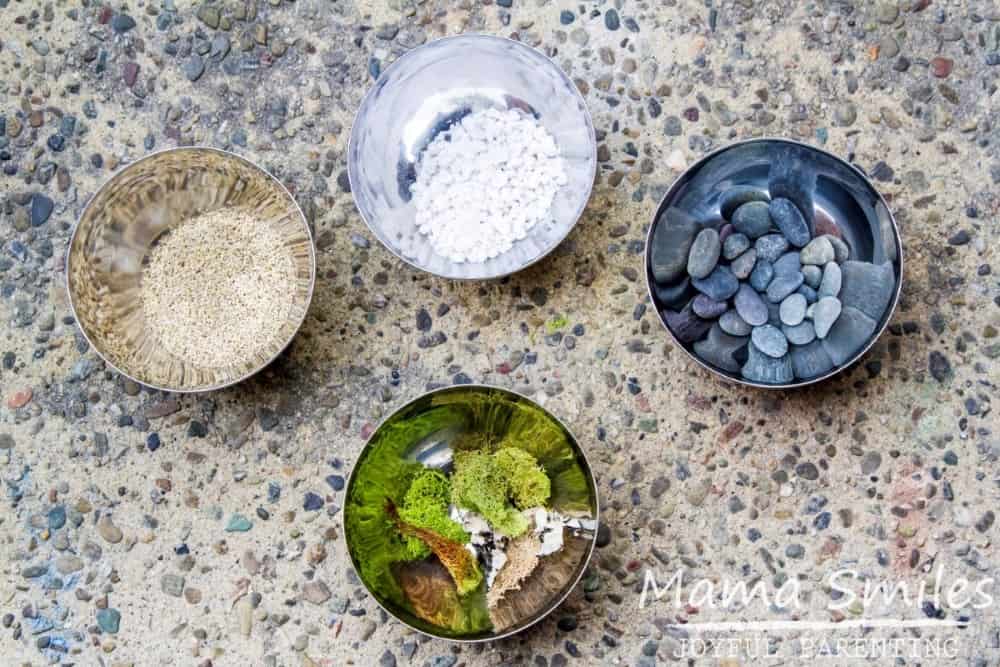 Materials for a simple DIY terrarium