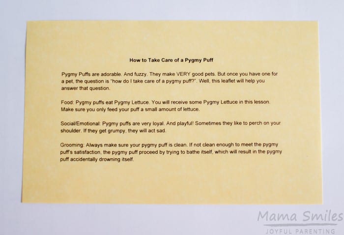 How to care for a pygmy puff and other Harry Potter themed party activities that delight.