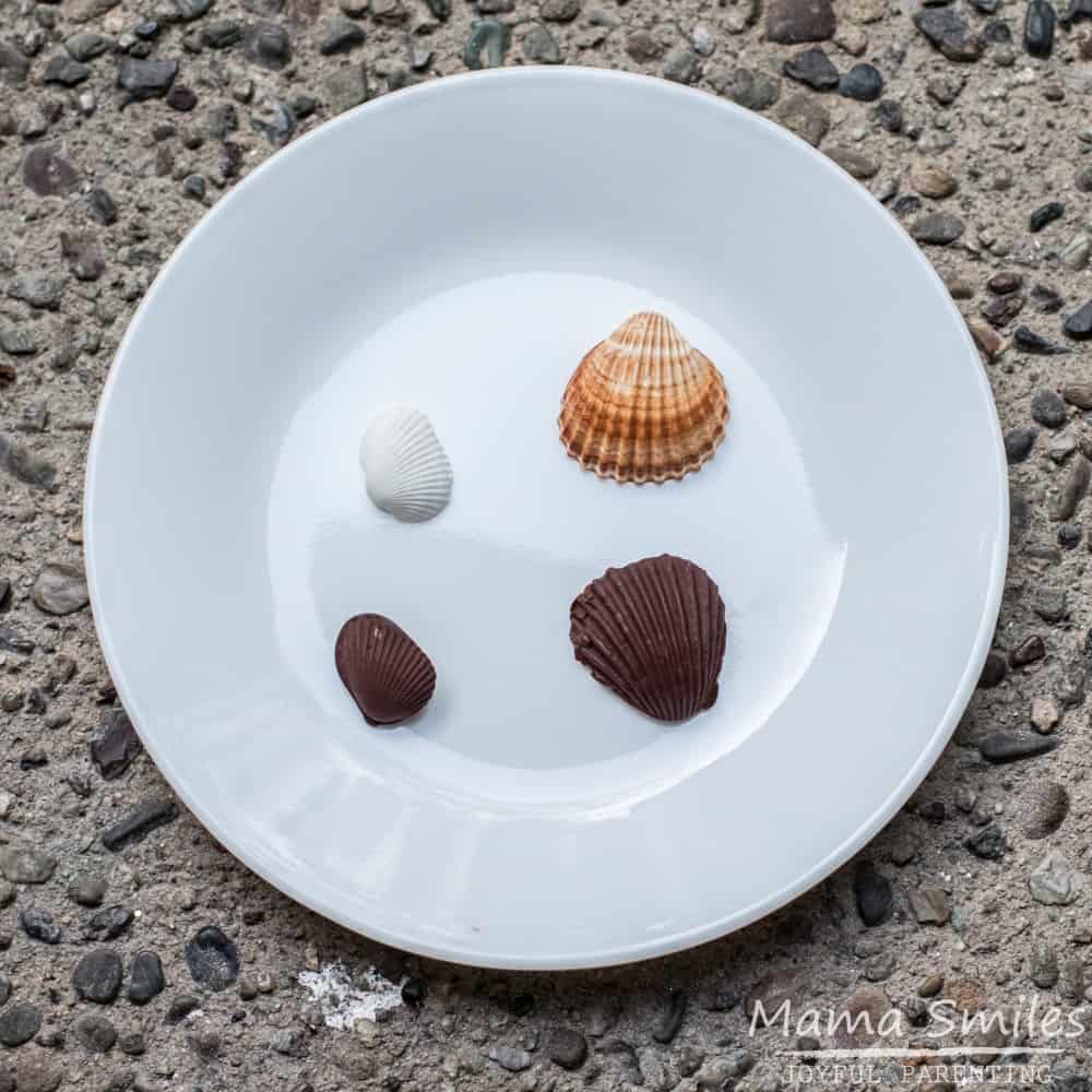 handmade chocolate sea shell tutorial - make your own chocolate molds.