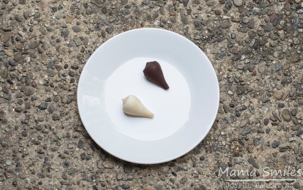 DIY chocolate sea shells made using real shells from the beach!