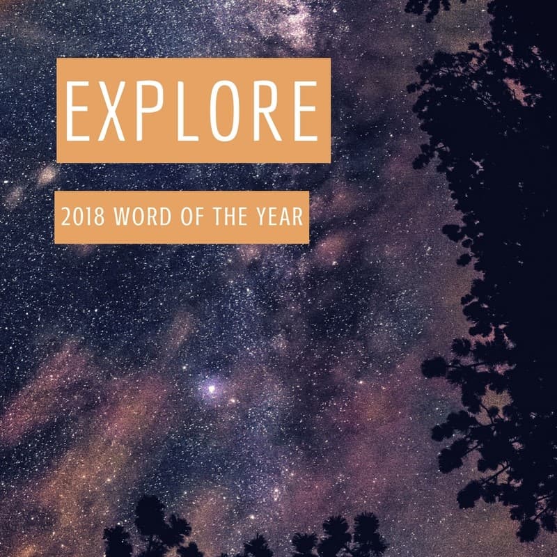 Word of the Year 2018