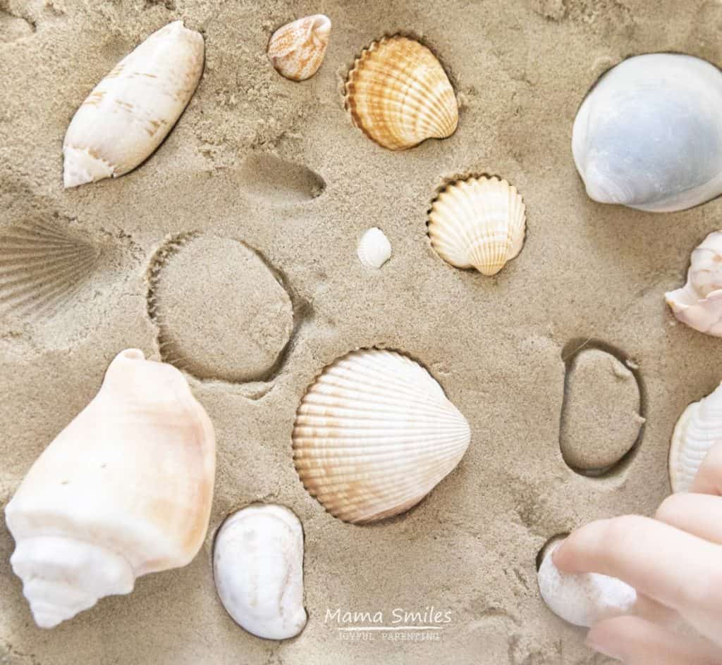 Make a Simple Sea Shell Sensory Bin - Kinetic Sand is the Key!