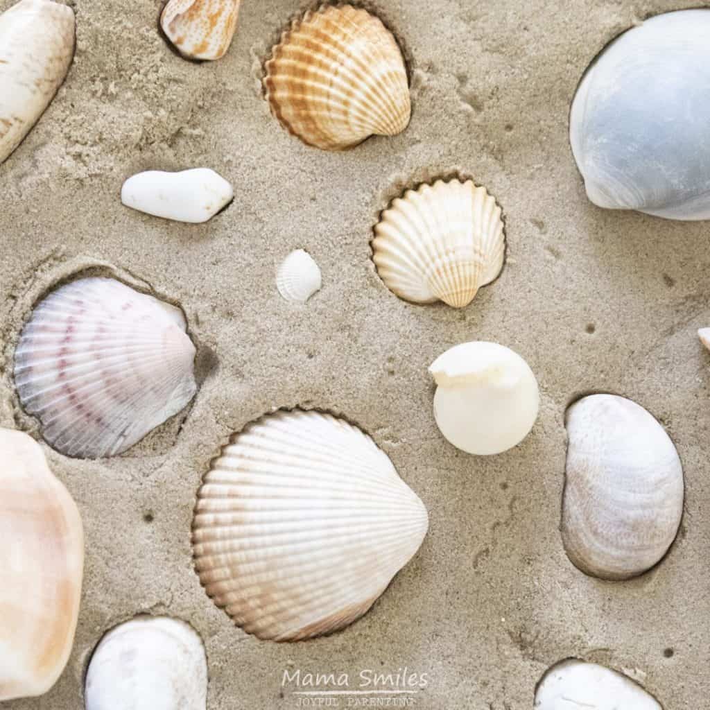 Kinetic sand sea shell sensory bin