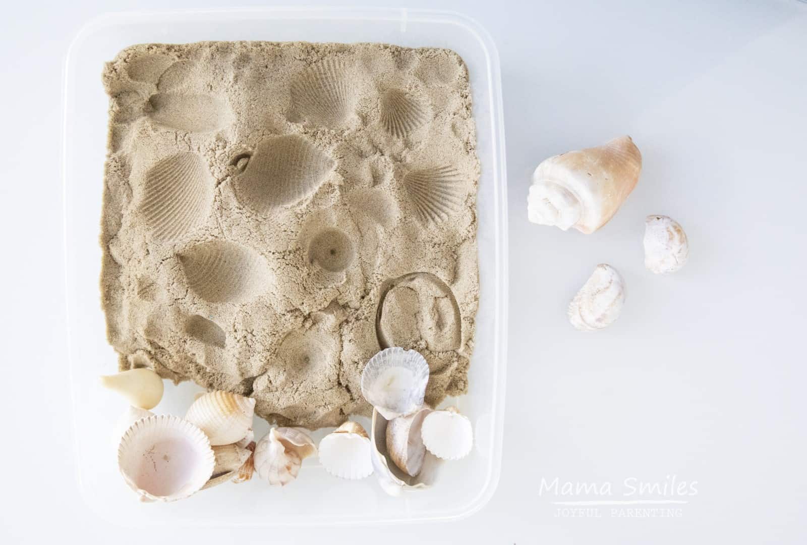 Explore shapes and textures with a simple sea shell sensory bin
