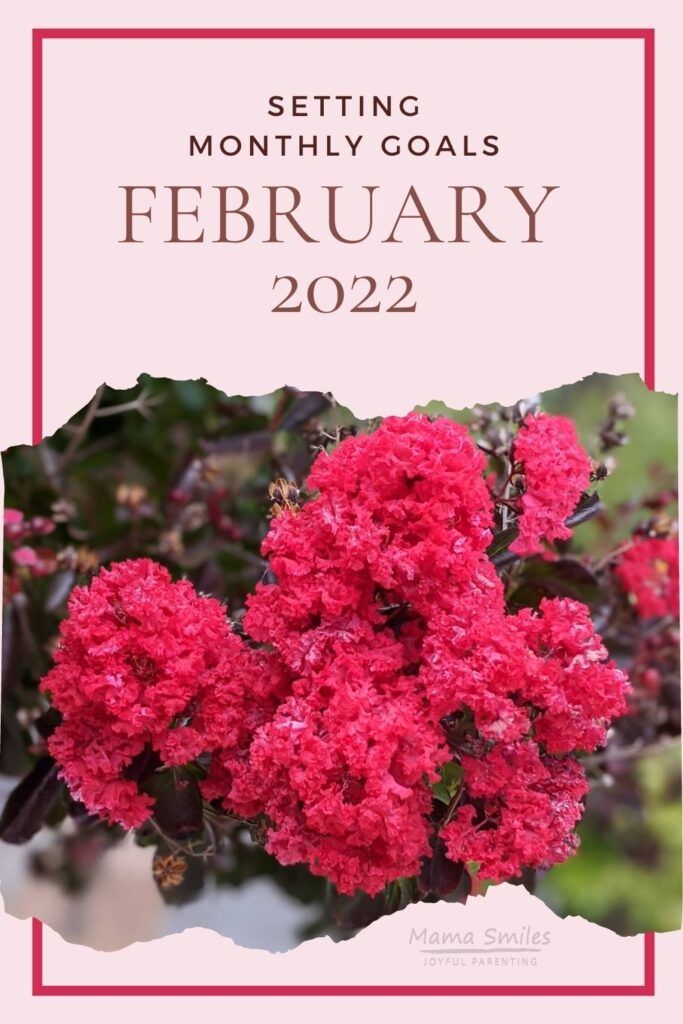 setting monthly goals for February 2022