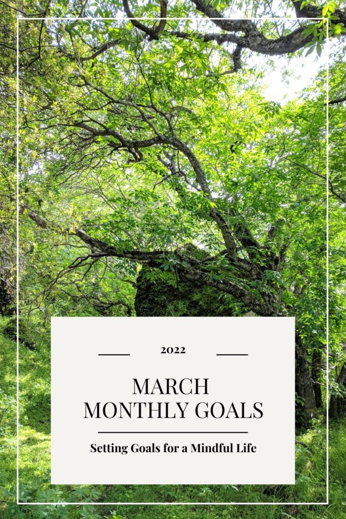 2022 March monthly goals