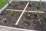 help children plant their own garden plot